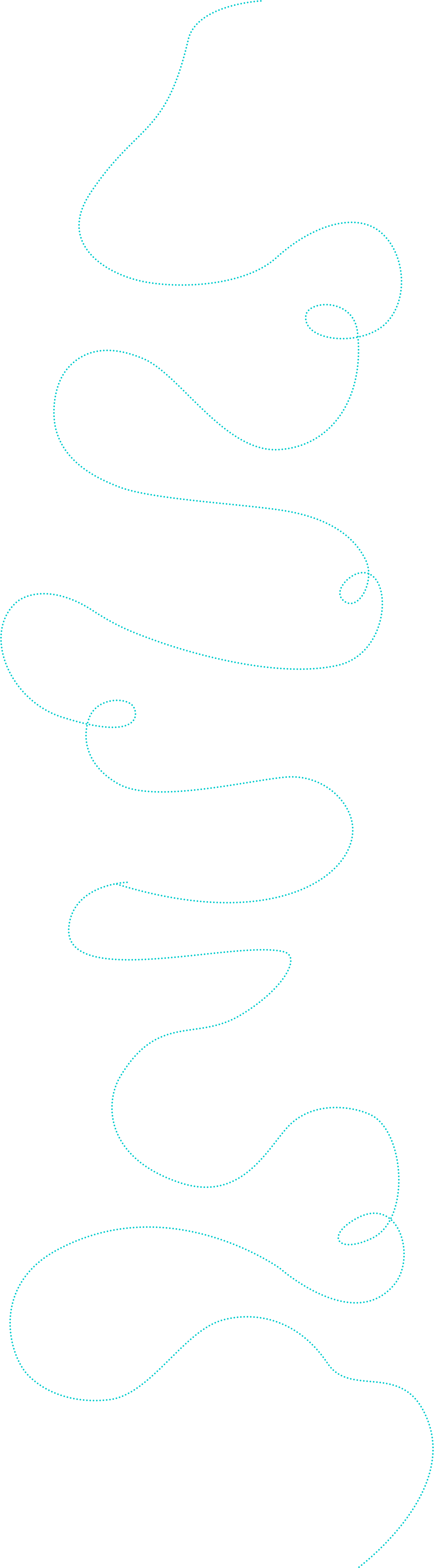 Dotted line